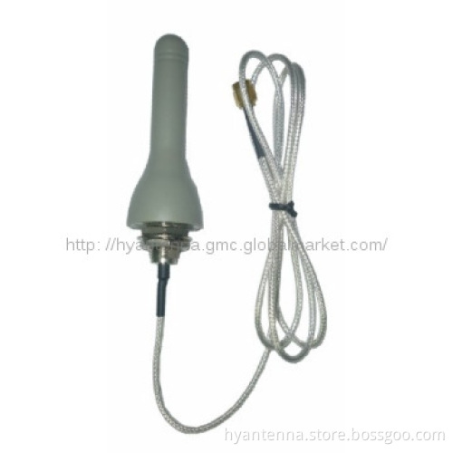 2dBi 3G Antenna With SMA Male Connector (factory)